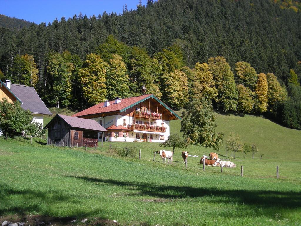 Am Ferienbauernhof Schmiedbauer Com Salzkammergut Faistenau Zewnętrze zdjęcie