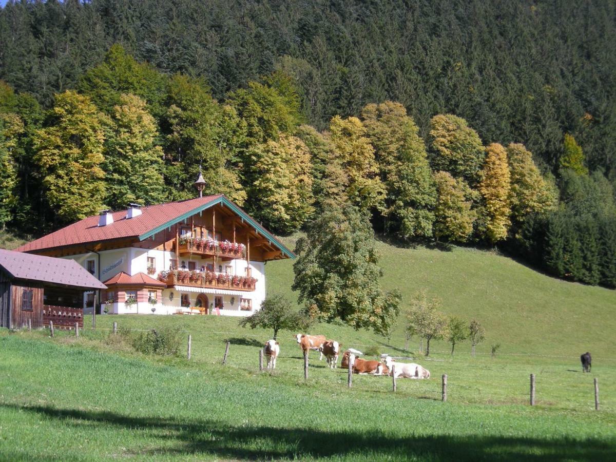 Am Ferienbauernhof Schmiedbauer Com Salzkammergut Faistenau Zewnętrze zdjęcie